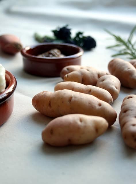 Fingerling potatoes on a cloth.