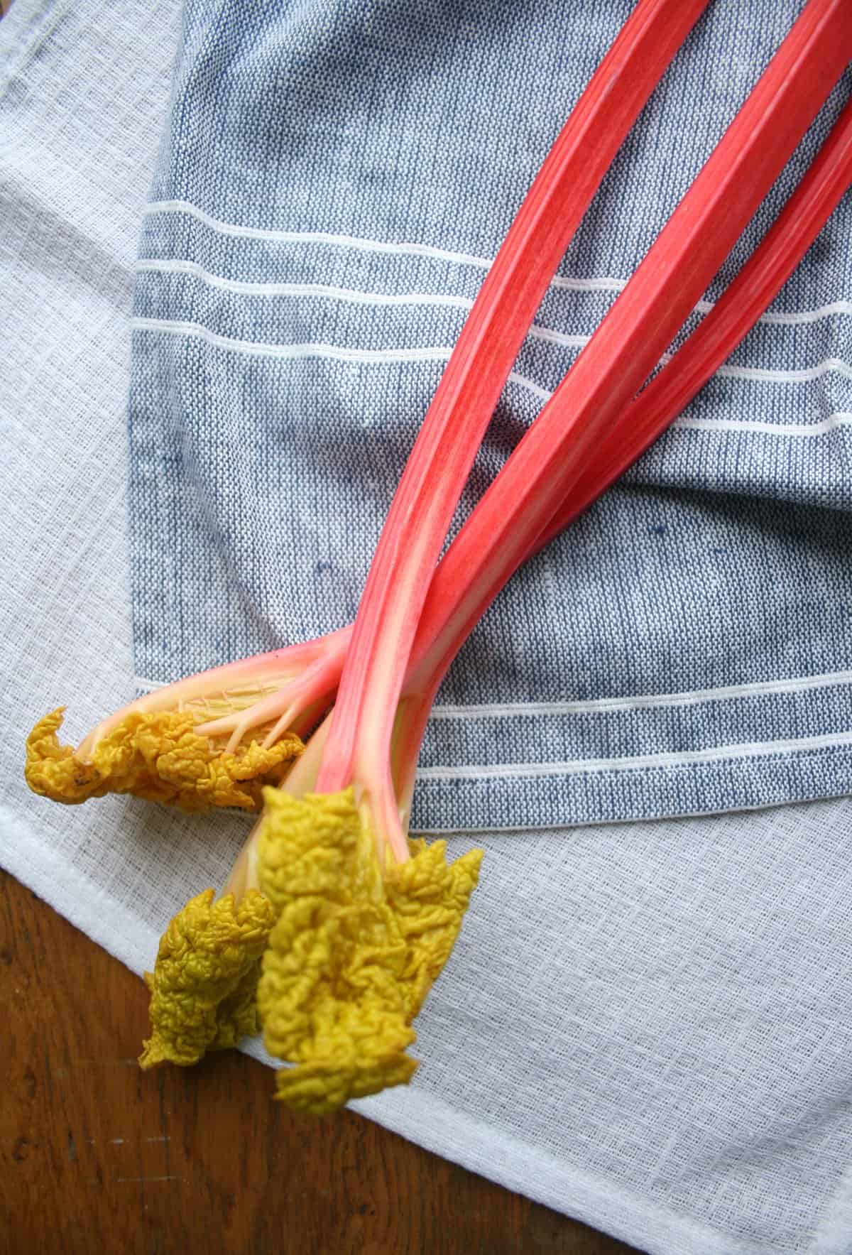 A few stems of pink rhubarb on napkins.