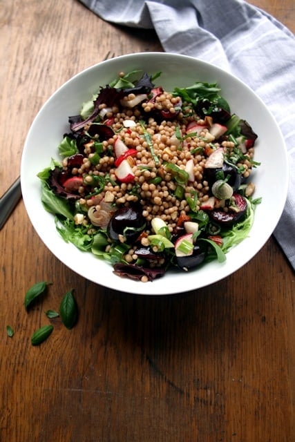 A bowl of maftoul cherry salad with wooden background.