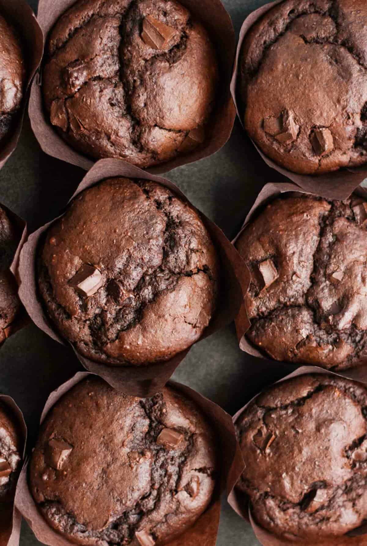 Overhead of multiple chocolate muffins with chocolate chunks on top in tulip cases.