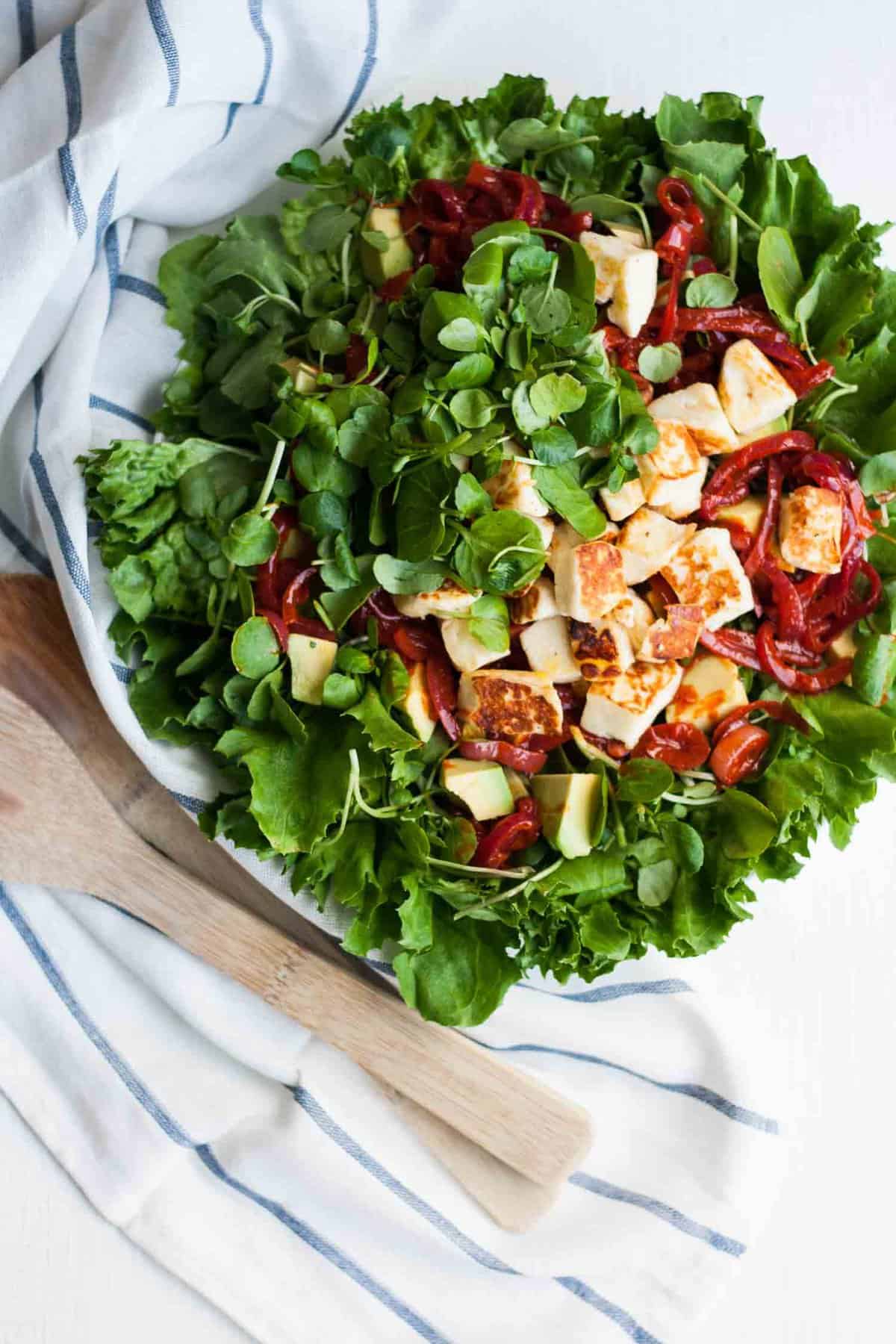 Fried halloumi and salsa on top of green leaves on a plate.