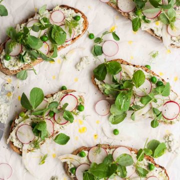 An array of crostini with radish and pea shoots.