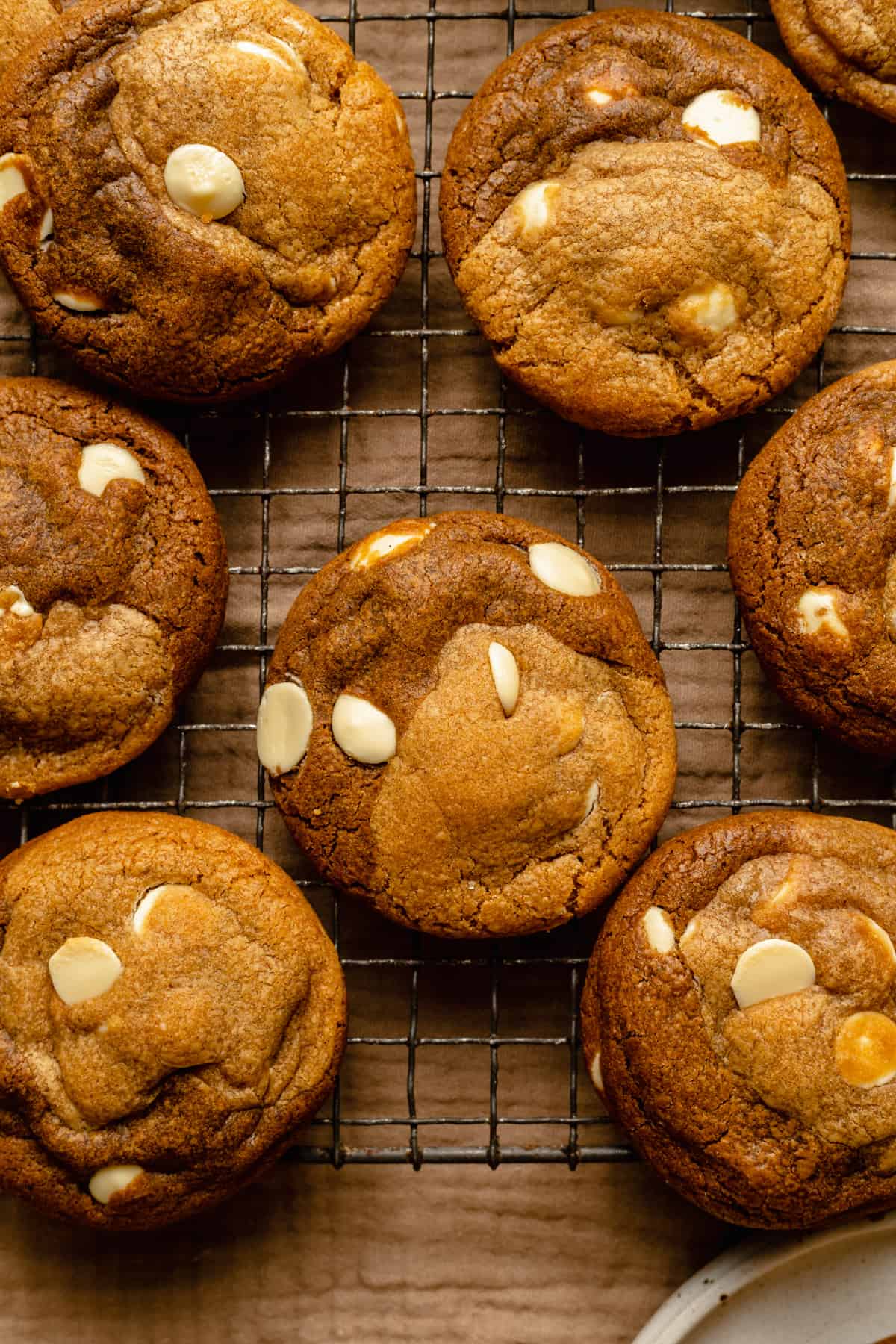 A close up of gingerbread swirl cookies on a cooling rack. 