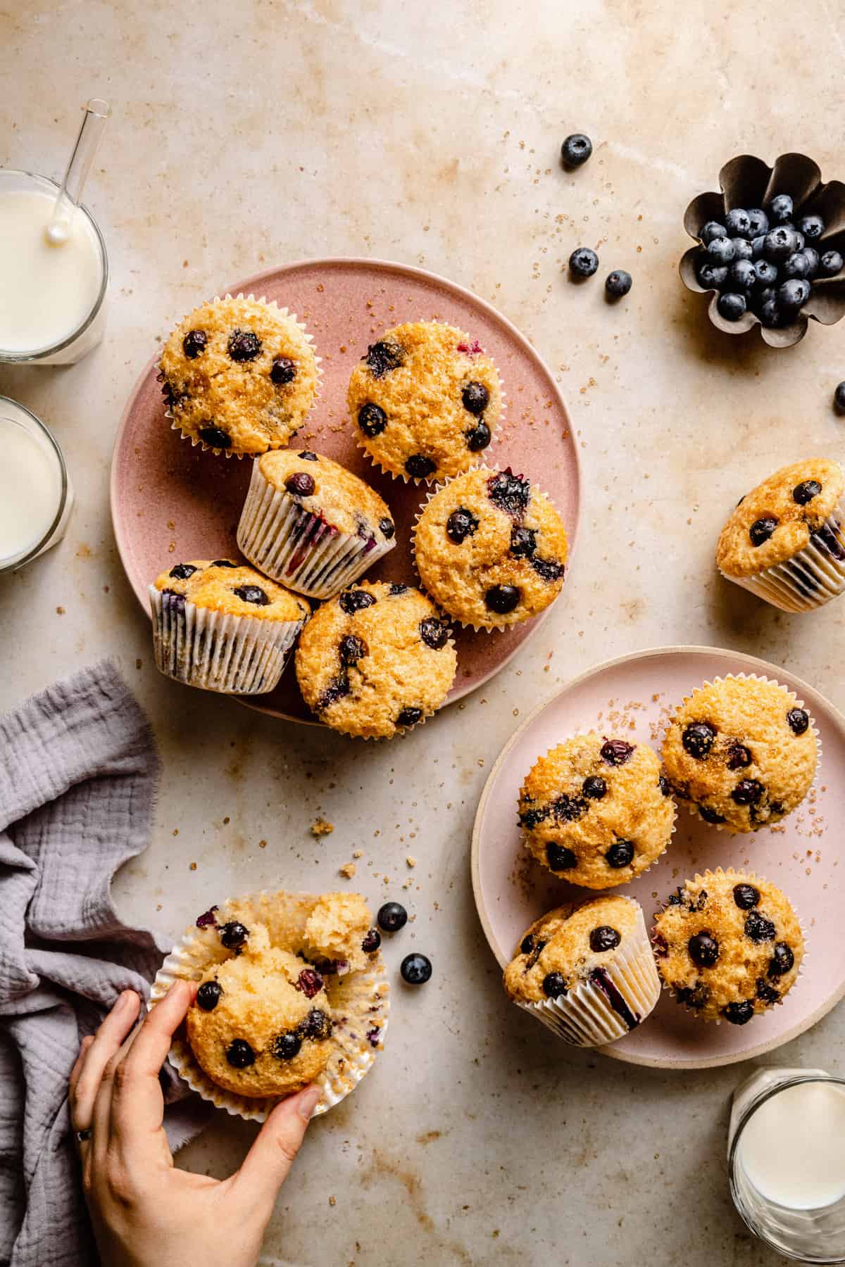 A breakfast scene of sourdough blueberry muffins with plates, milk and napkin.