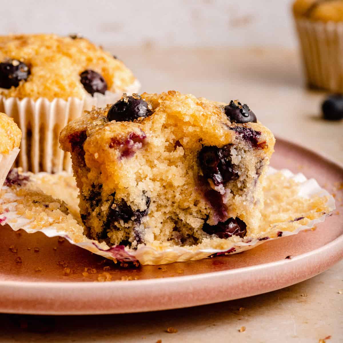 Blueberry sourdough muffins on a plate one with a bite taken out showing the insides.