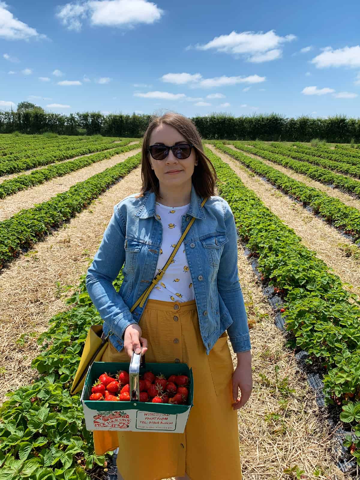 Sasha standing in a field with rows of strawberries holding a basket with strawberries.