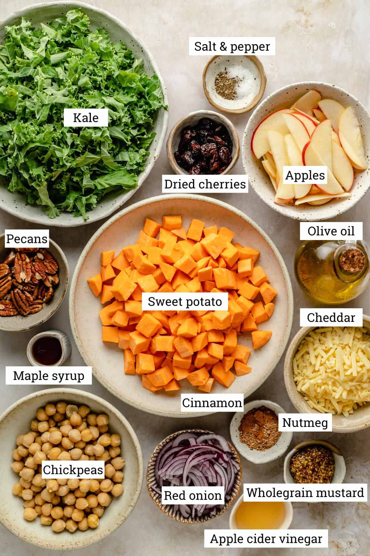 Bowls of ingredients including, sweet potato, kale, apples, pecans, cheddar and chickpeas.