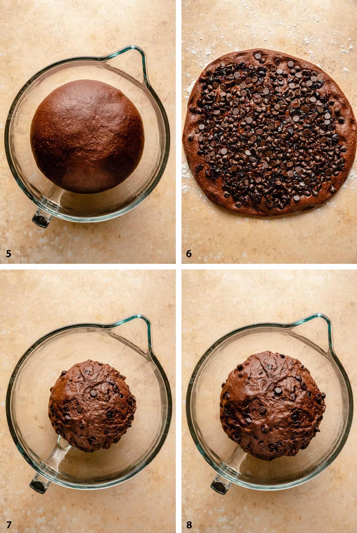 Proofing and mixing in the chocolate chips and cherries to the chocolate dough in a glass mixing bowl.