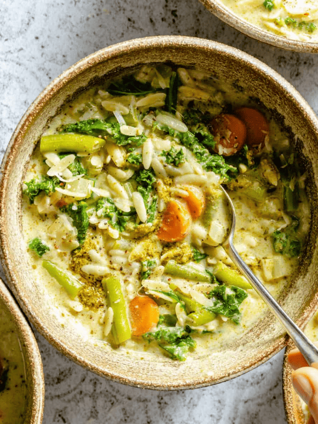 Vegetable Orzo Soup Story